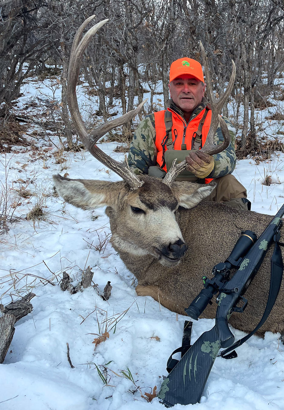 LP Ranch Mule Deer
